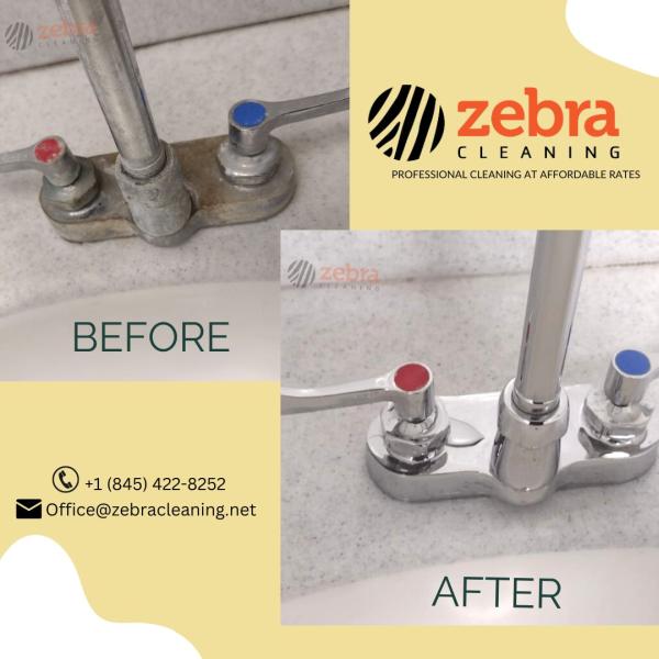 Zebra Cleaning