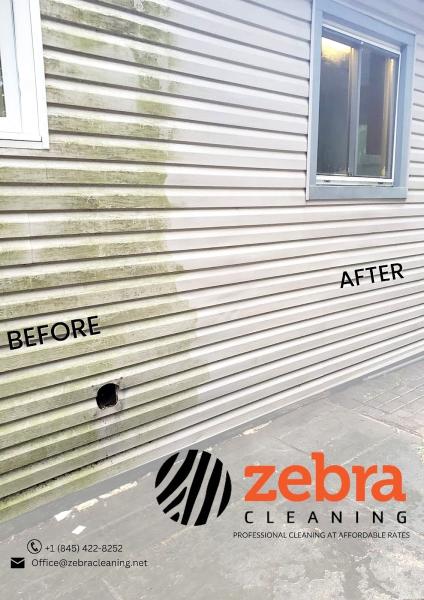 Zebra Cleaning