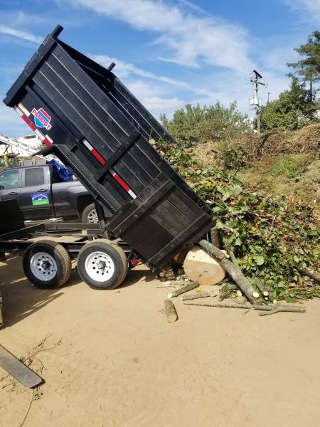 Landscaping & Tree Services