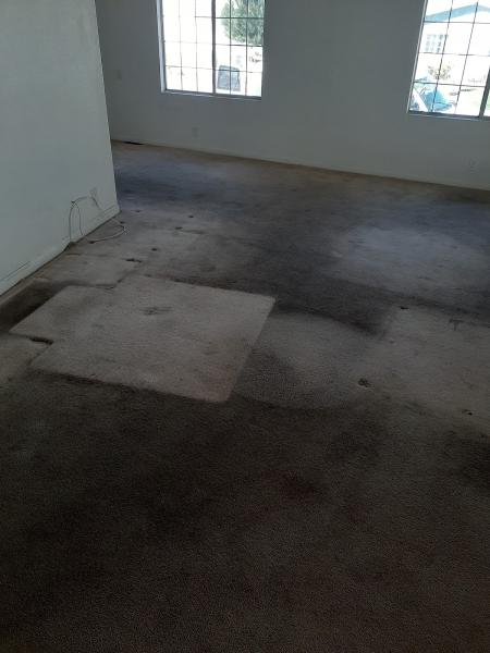 Pro Clean Carpet & Tile Cleaning