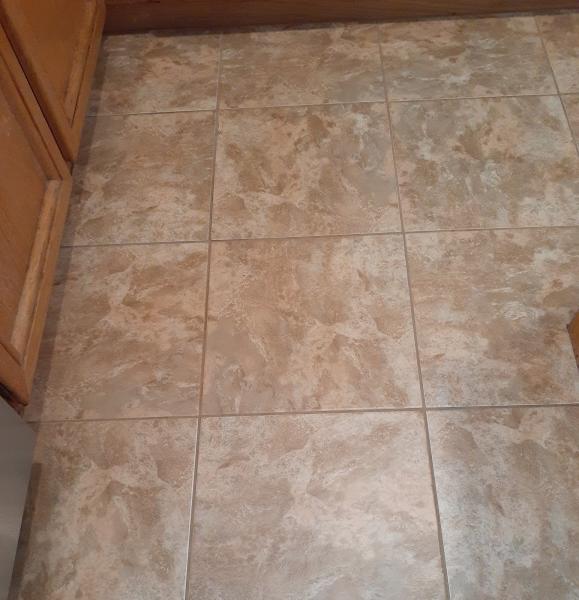 Pro Clean Carpet & Tile Cleaning