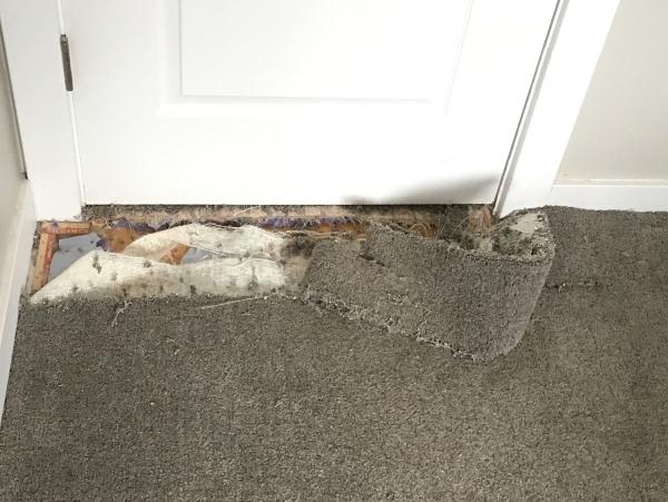 Carpet Fixer