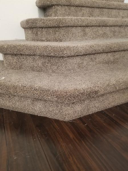 Carpet Fixer