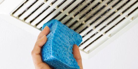 Platinum Star Cleaning Services