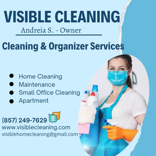 Visible Cleaning