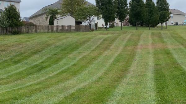 Pineiro's Lawn Care