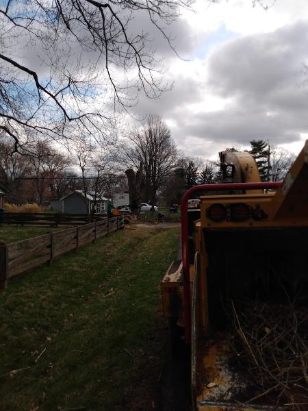 Indyarborist.com Tree Service LLC
