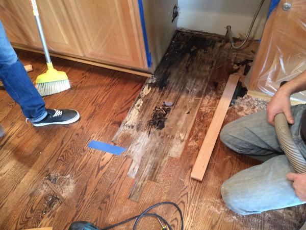 Elmwood Flooring