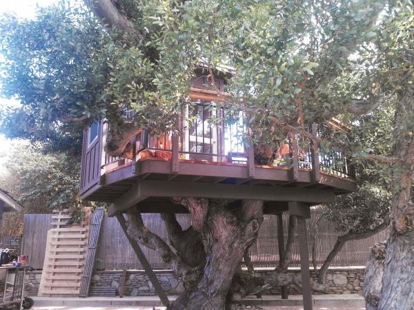 Wilson Woodscape Inc