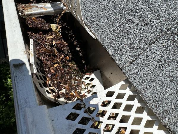 Above All Gutters