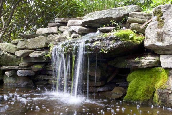 Thomas Flint Landscape Design & Development