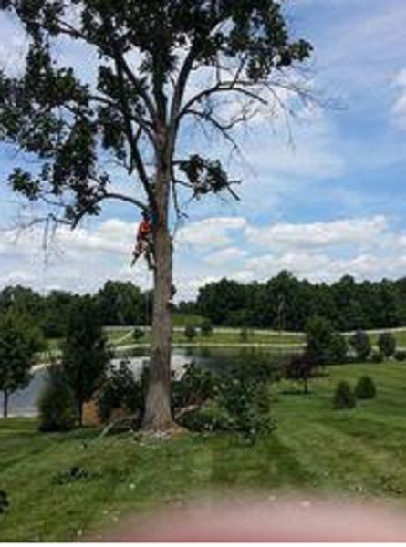 Shade Shifters LLC