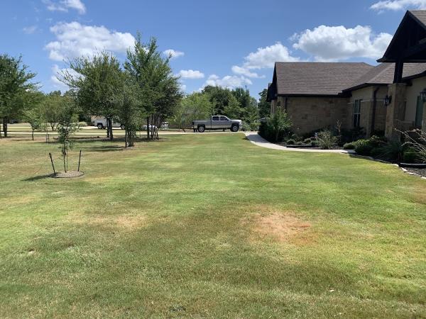 R&M Lawn and Maintenance