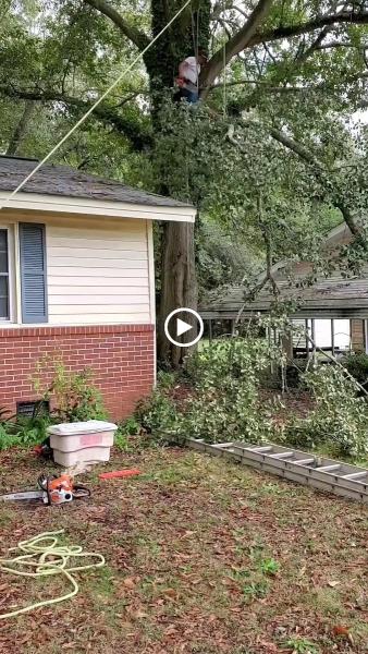 Hollywood Landscaping LLC