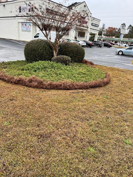 Hollywood Landscaping LLC