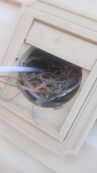 Safe Air Duct Cleaning