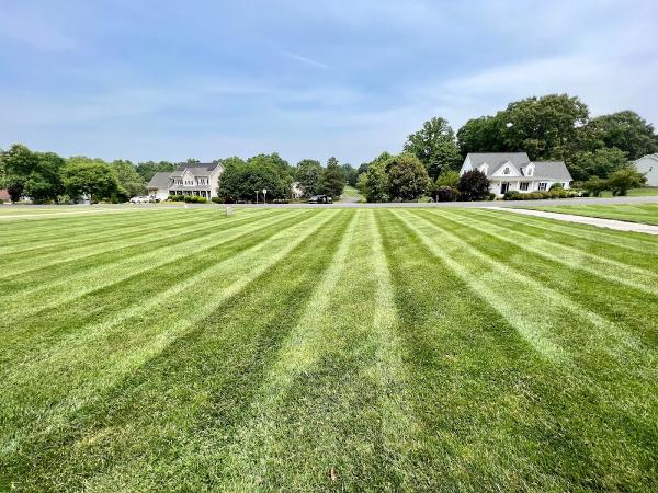 Malboeuf Landscaping