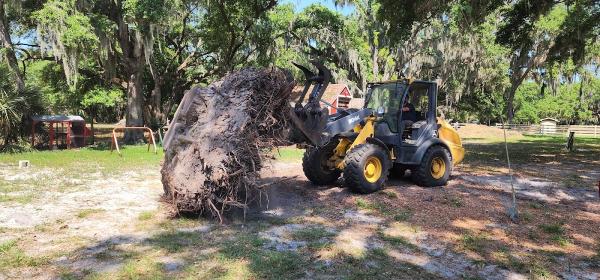 Florida Green Lawn & Tree Service