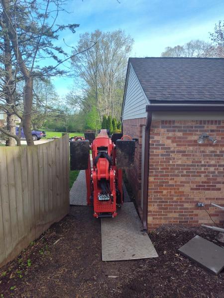 Tree Service