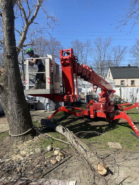 Tree Service