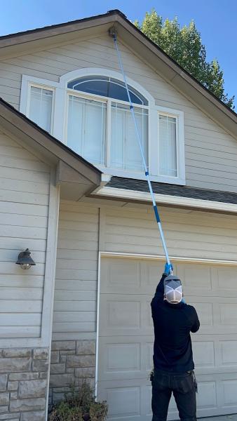 Presto Pest Solutions