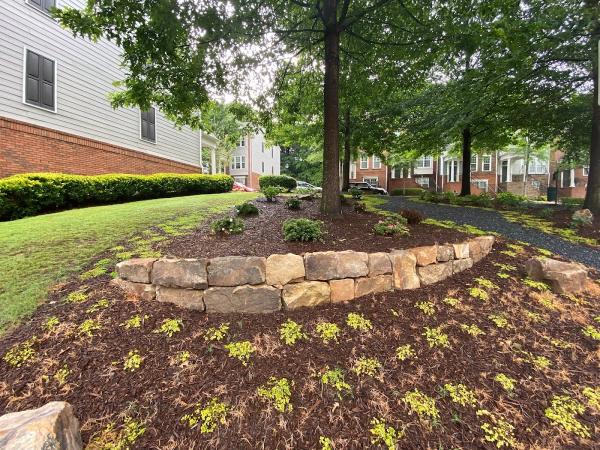 Atlanta Turf & Tree