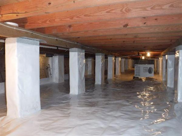 Crawlspaces and More
