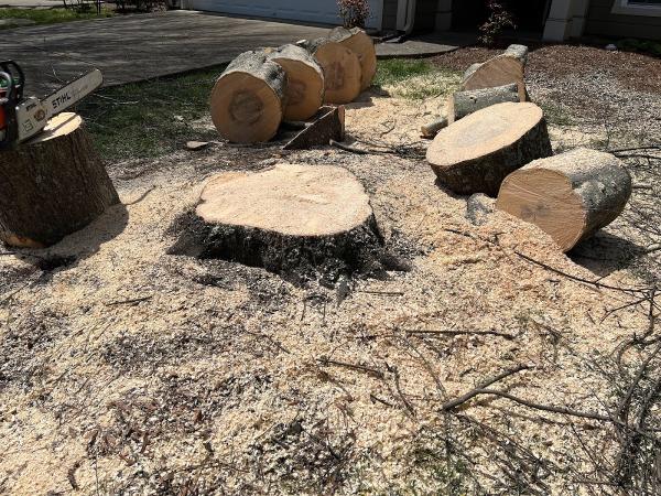 Rutland Tree Services