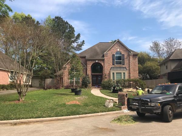 Texas Tree Team- Savatree