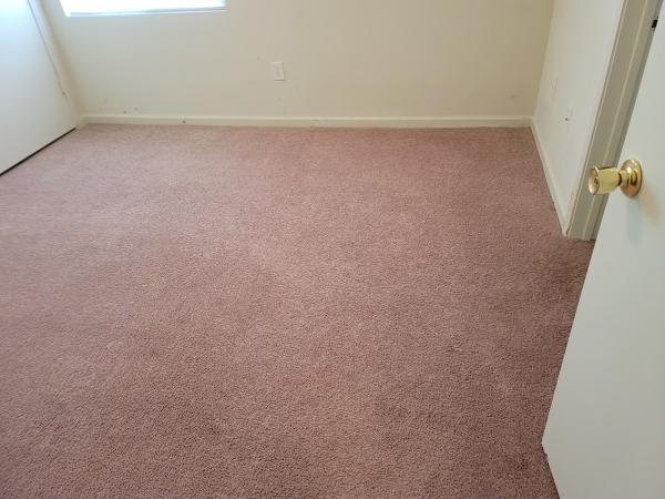 Carolina's Choice Carpet & Upholstery Cleaning