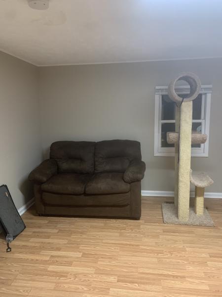 Carolina's Choice Carpet & Upholstery Cleaning