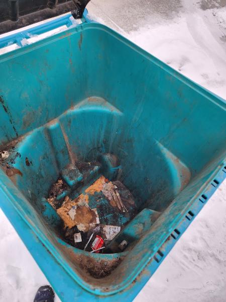 Rocky Mountain Bin Blasters