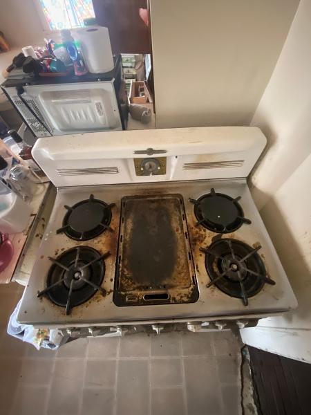 Antique Stove Heaven