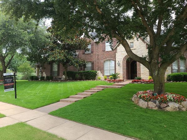 Arboreal Lawn & Landscape
