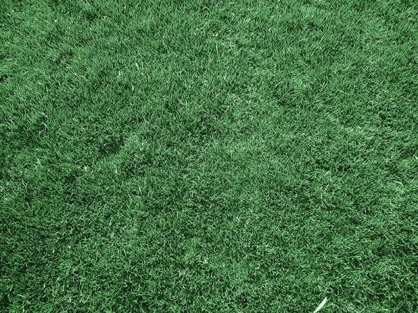 Coates Irrigation Consultants