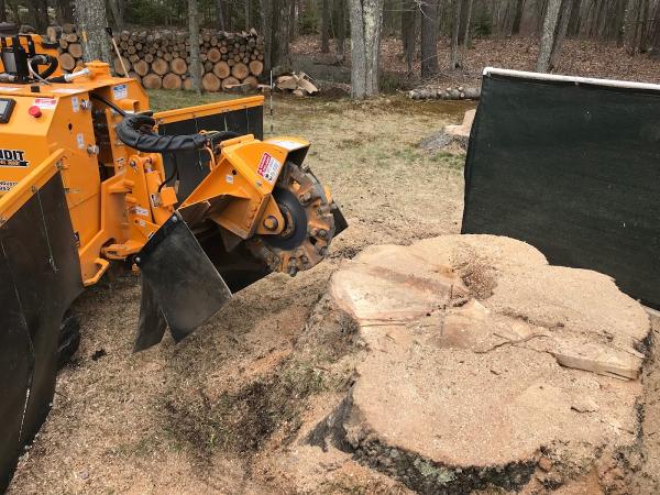 Sylvester Stump Grinding