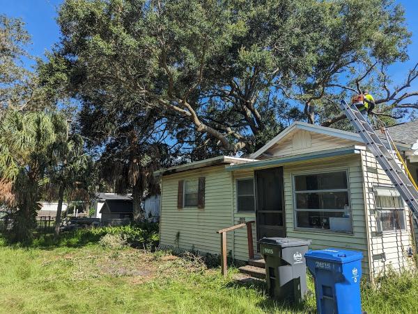 Oaks Tree Service