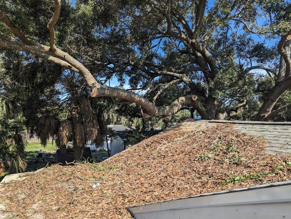 Oaks Tree Service