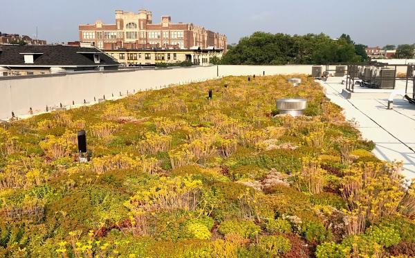 Philadelphia Green Roofs LLC