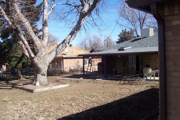 Big Horn Tree Service