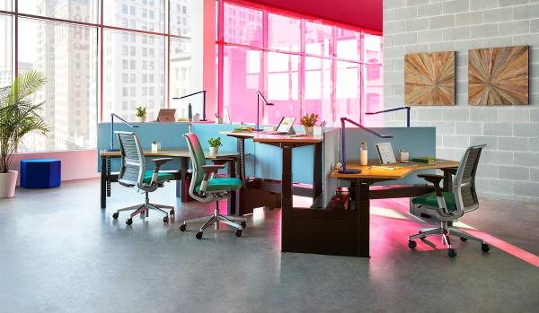Young Office