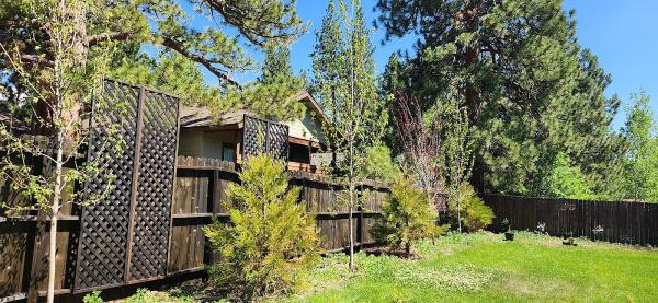 Alpen Tree Experts
