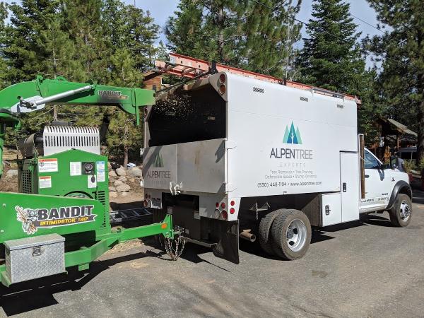 Alpen Tree Experts