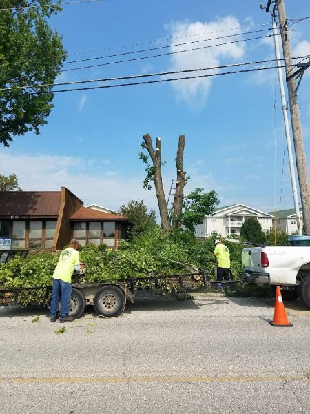 Better Rate Tree Services