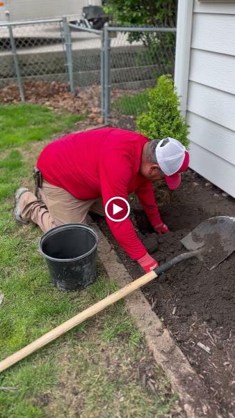 Arriaga Lawn Maintenance