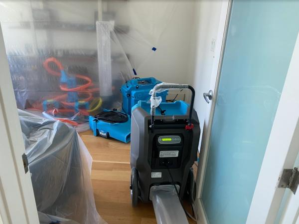 Speedtek Mold Removal Clearwater