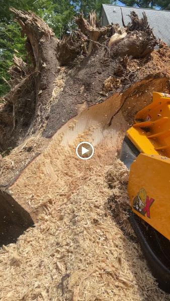 Summit Stump Grinding