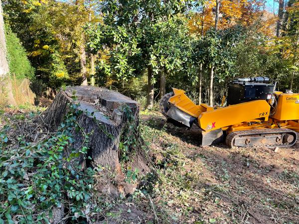 Summit Stump Grinding