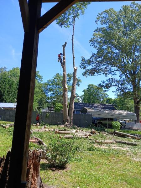 J Tree Service LLC