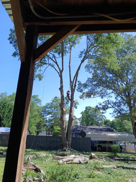 J Tree Service LLC